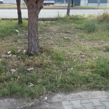 Adana Büyükşehir Belediyesi Acil Düzenleme Ve Temizlik Şart