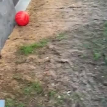 Lale Kısıklı Konakları Damm Yönetimi Yönetemiyor