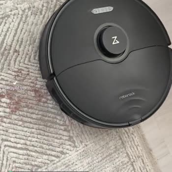 Roborock S8 Mobbing Ses