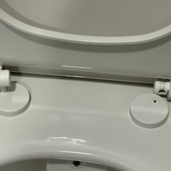 Vitra Klozet Kapak Menteşesi Kısa Sürede Kırıldı Ve Garanti Talebi