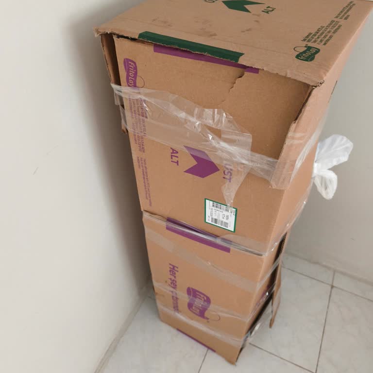 Garanti Kapsamındaki Kiwi Kwp 8556 Ürününde Su Sızıntısı Ve Servis Formu Sorunları