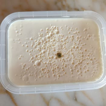 Son Kullanma Tarihi Geçmemiş Kaymakta Küf Sorunu