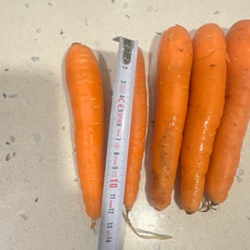 Yanlış Adrese Yönlendirilen Sipariş, Ücretsiz Teslimat Avantajının Kaybı Ve Düşük Ürün Kalitesi
