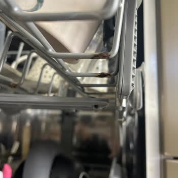 LG DFB512FW Dishwasher Suffers From Severe Rack Corrosion