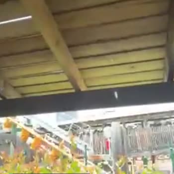 Vialand Tema Park Kalabalık Sorunu!