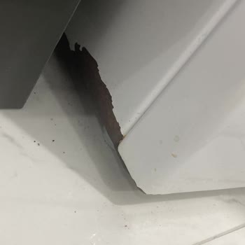 Bosch Çamaşır Makinesinde Küflenme Problemi Ve Garanti Kapsamında Çözüm Talebi