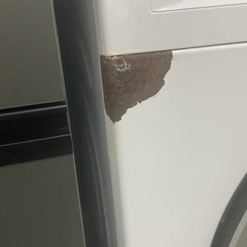 Bosch Çamaşır Makinesinde Küflenme Problemi Ve Garanti Kapsamında Çözüm Talebi