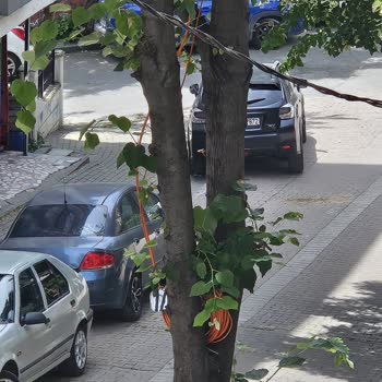 Kablo Bağlanmadığı İçin İnternet Kesintisi Ve Ücret İadesi Talebi