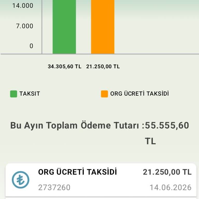 Organizasyon Ücreti Ve Taksit Çakışması Nedeniyle Ödeme Kilidi