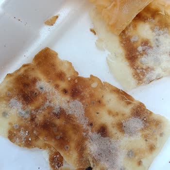 Yemeksepeti Küflü Gözleme Gizlenerek Satıldı Sağlık Riski Ve İade Talebi