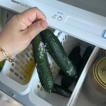 Vestel Buzdolabının Sebze Çekmecesi Donduruyor, Çözüm Bekleniyor
