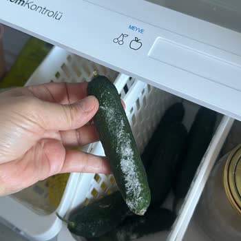 Vestel Buzdolabının Sebze Çekmecesi Donduruyor, Çözüm Bekleniyor