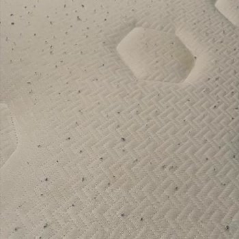 Cool And Wool Yatakta Hızlı Bozulma Ve Müşteri Hizmetinde Umursamazlık