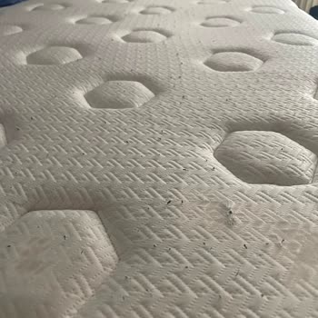 Cool And Wool Yatakta Hızlı Bozulma Ve Müşteri Hizmetinde Umursamazlık