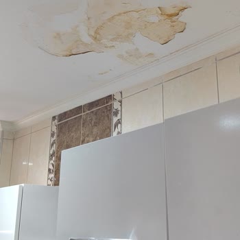 Aksigorta'dan Aynı Hasarın Reddedilmesi Ve Yeniden Değerlendirme Talebi