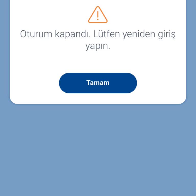 Sunexpress Mobil Ve Web Giriş Hatası: Acil Çözüm Ve Fiyat İndirimi Talebi