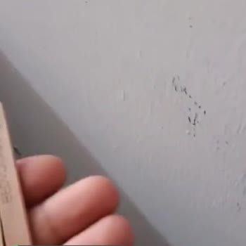 Algida Uygulamasının Yalanı Şifre Gir Saçmalığı