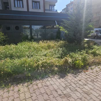 Altın Kalem Sokak A101 Önündeki Otlar Düzensiz Ve Yangın Riski Oluşturuyor