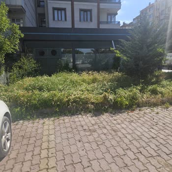 Altın Kalem Sokak A101 Önündeki Otlar Düzensiz Ve Yangın Riski Oluşturuyor