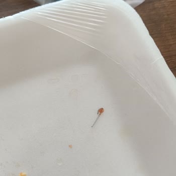 Torbalı Başdaş Markette Kıymada Zımba Parçası Çıktı, Sağlık Endişesi