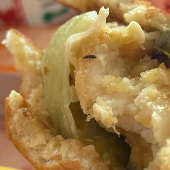 Popeyes Burgerinde Böcek: Hijyen Ve Sağlık Riski
