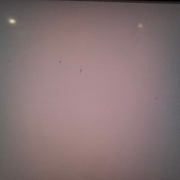 Garanti Kapsamındaki Onarım Sonrası Artan Piksel Sorunu Ve LG'den Cevapsızlık