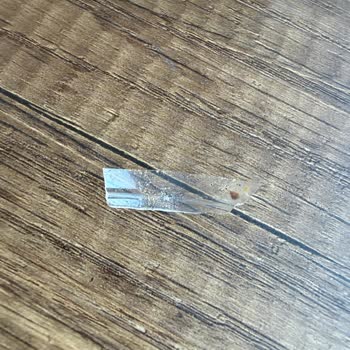Yemekte Büyük Plastik Parça Çıktı, Damağım Yırttı Ve Ücret İadesi Talebi