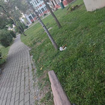 Çocuk Oyun Parkında Kirli Ve Bozuk Zemin Güvenlik Sorunu Yaratıyor