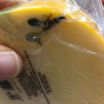 Tahtakale Spot Frico Peynir Şikayeti