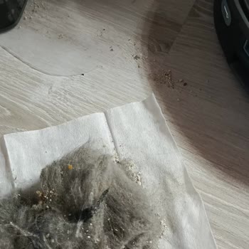 Eki aç