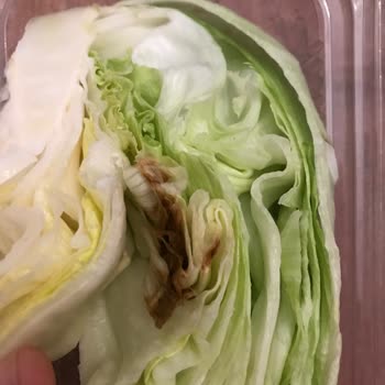 Küflü Çiğköfte Ve Lavaş İçin İade Talebi