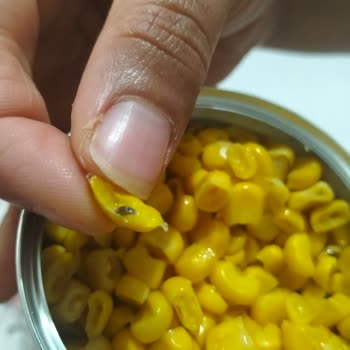 Tukaş Mısır Konservesinde Ölü Böcek Bulunması Ve Gıda Güvenliği Endişesi