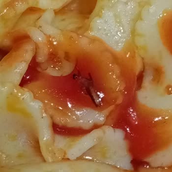 A101'den Aldığım Tamek Ketchup'unda Böcek Bulunması