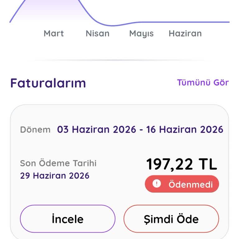 Netspeed İptal Talebime Rağmen Kesilen Fatura Ve Haksız Dondurma İddiası