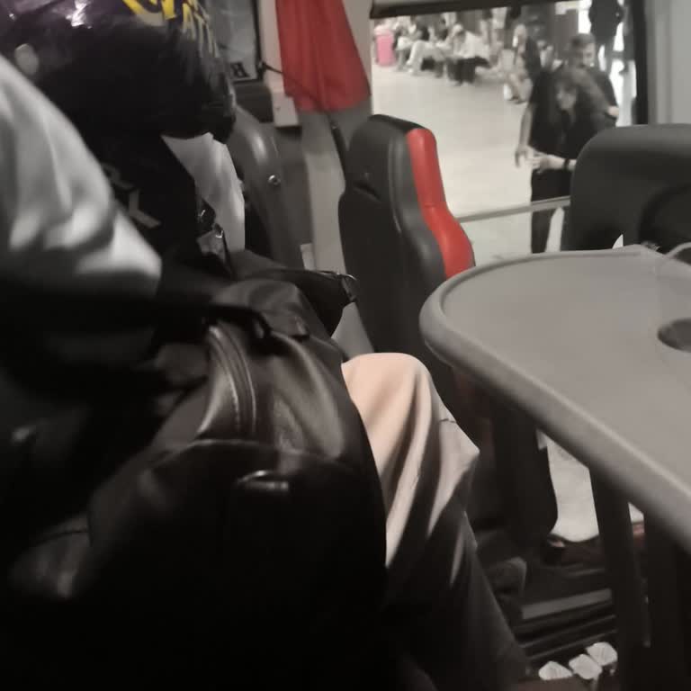Yan Yolcunun Davranışı Ve Hijyen Eksikliği Nedeniyle Haksız Koltuk Değişikliği