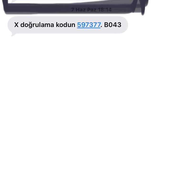 X - Twitter Hesabıma Erişemiyorum