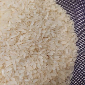 Hasata Pirinçte Yüzlerce Böcek Ve Larva