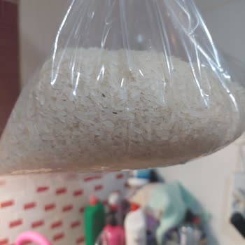 Hasata Pirinçte Yüzlerce Böcek Ve Larva