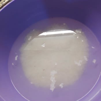Hasata Pirinçte Yüzlerce Böcek Ve Larva