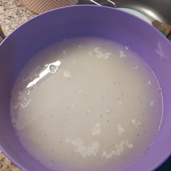 Hasata Pirinçte Yüzlerce Böcek Ve Larva