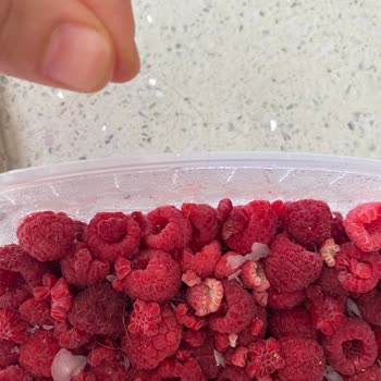 Metro Market Dondurulmuş Frambuaz Ürünün İçinde Saç Teli Bulunması Hijyen İhlali