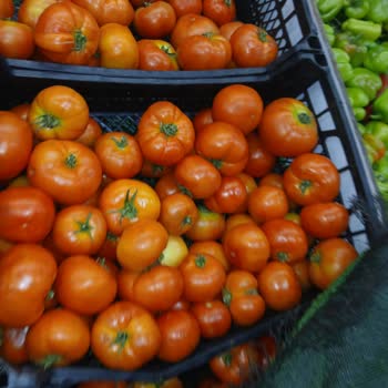 Şahmar Market Batman GAP Şubesinde Bozuk Domates Ve Personel Davranışı