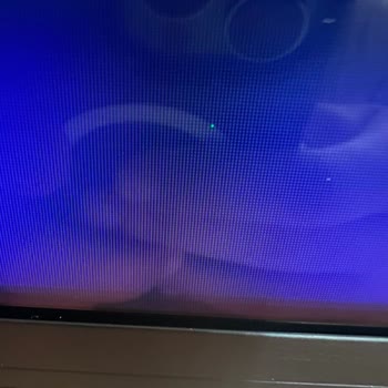 LG 65 İnç TV’de Sabit Yeşil Piksel Arızası Ve Garanti Servis Çözümü Talebi