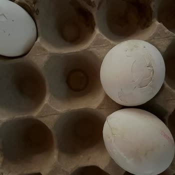 Bim Şubesinde Kırık Yumurta Kolisi Mağduriyeti