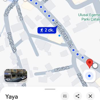 Kargo Kapıya Teslim Edildiği Gösterilse De Gerçekte Teslim Edilmedi