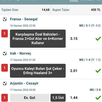 Nesine'de 6500 TL Kazancım Kayıp Olarak İşaretlendi