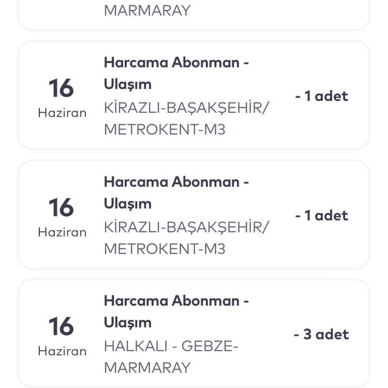 Şoförün Yabancısınız Deyimi Ve Kapıyı Kapatma Tutumu
