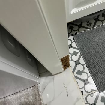 Beko Çamaşır Makinesinin Su Sızdırması Sonucu Banyo Kapısının Hasarı Ve Tazmin Talebi