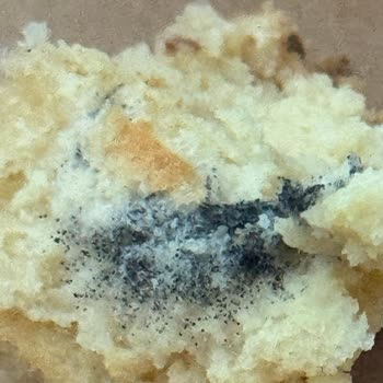 Espressolab Üsküdar Natoyolu Şubesinde Küflü Cheesecake Ve Hijyen Sorunu