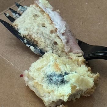 Espressolab Üsküdar Natoyolu Şubesinde Küflü Cheesecake Ve Hijyen Sorunu